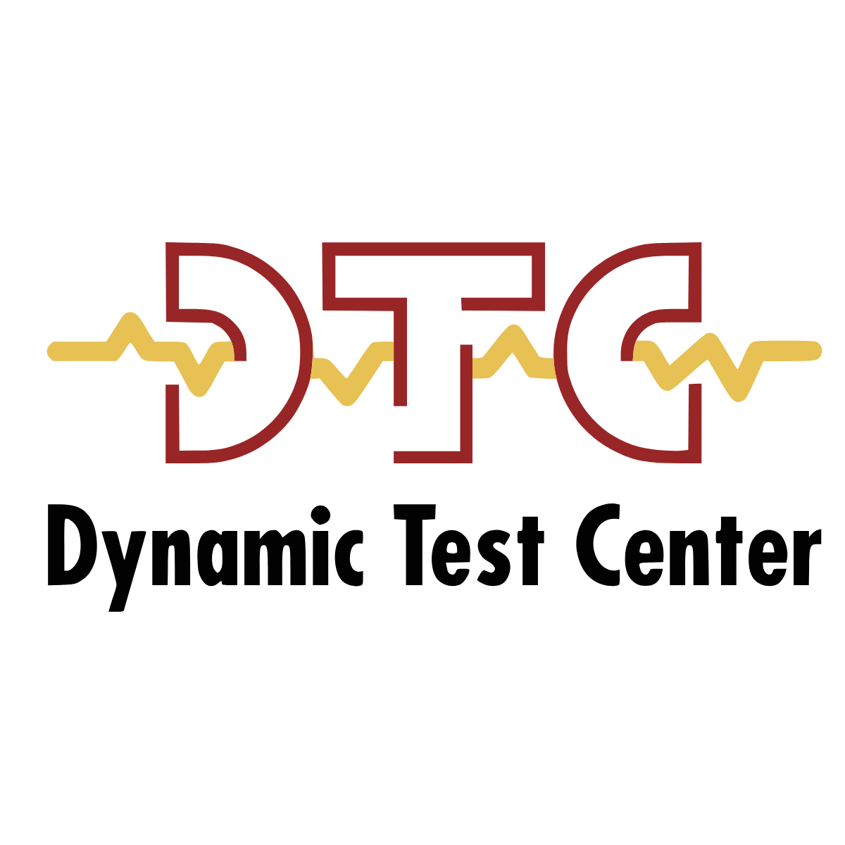 HOMOLOGATION DTC 'PEDESTRIAN PROTECTION' CARBON