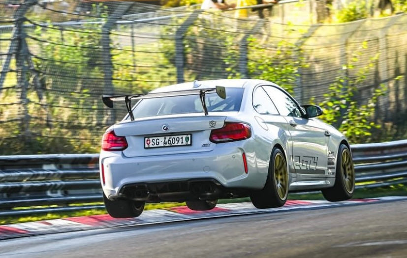 AM CARBON WING - CUP | SWISS HOMOLOGATED