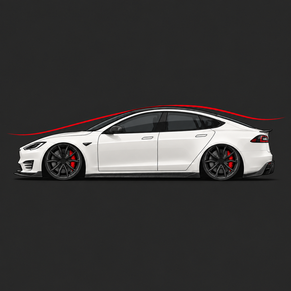 MODEL S