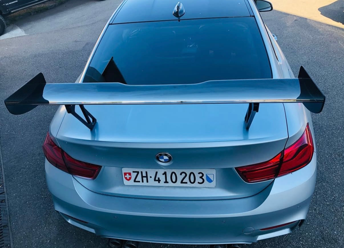 AM CARBON WING - CUP | SWISS HOMOLOGATED