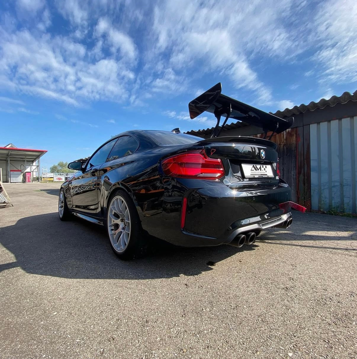 AM CARBON WING - CUP | SWISS HOMOLOGATED