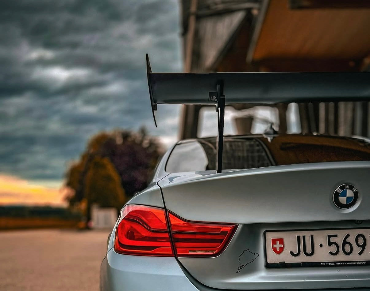 AM CARBON WING - CUP | SWISS HOMOLOGATED