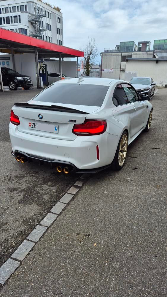 EXHAUST TIPS STAINLESS/CARBON 4PCS/SET F8X GOLD | SWISS HOMOLOGATED