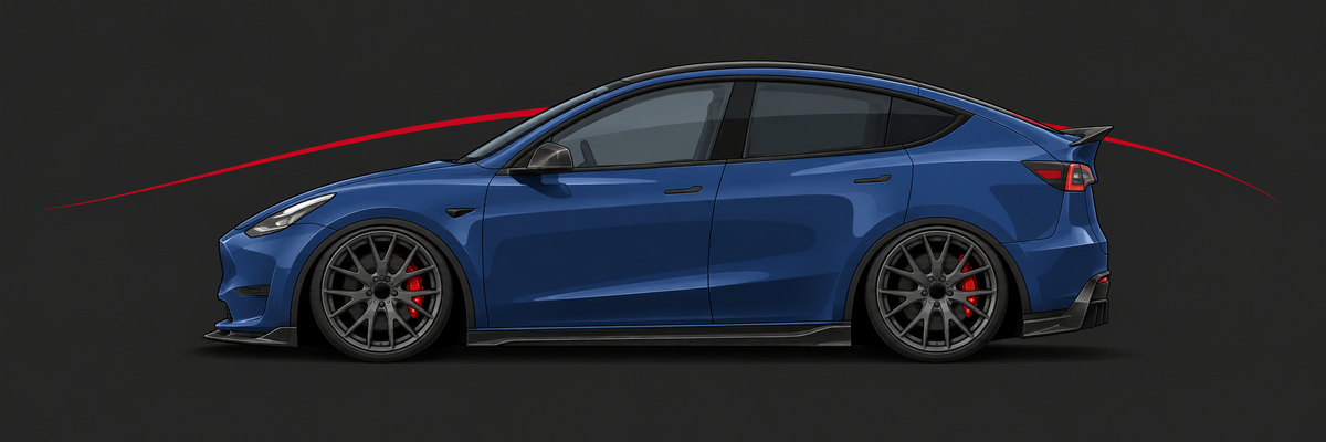 MODEL Y